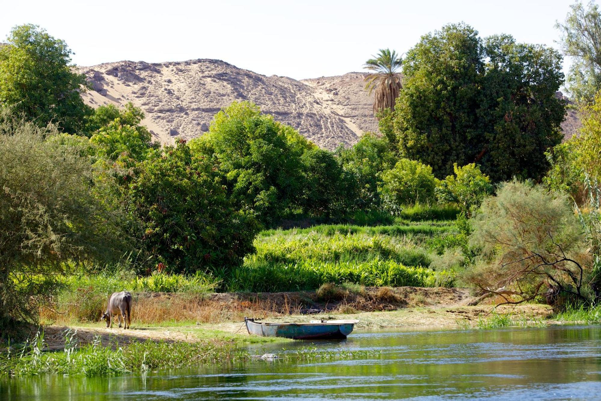 Hadouta Masreya Nubian Guest House أسوان المظهر الخارجي الصورة