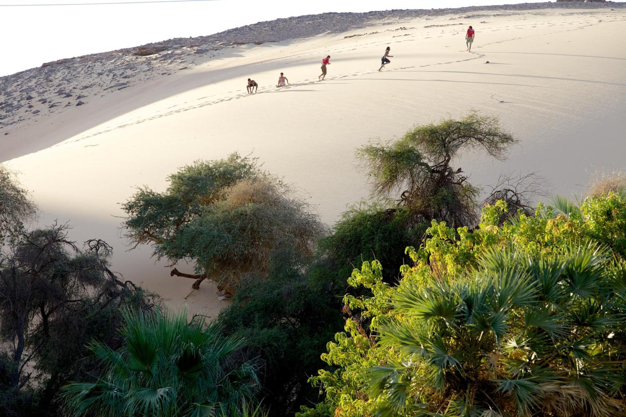 Hadouta Masreya Nubian Guest House أسوان المظهر الخارجي الصورة
